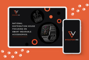 evolution inc portfolio