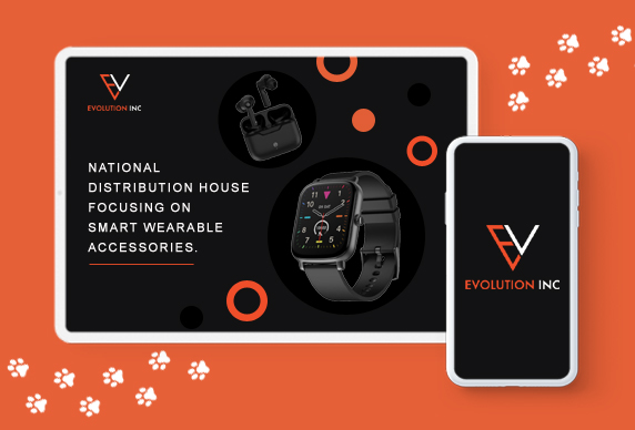 evolution inc portfolio